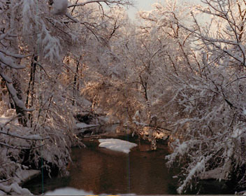 Sligo Creek Park in winter. 